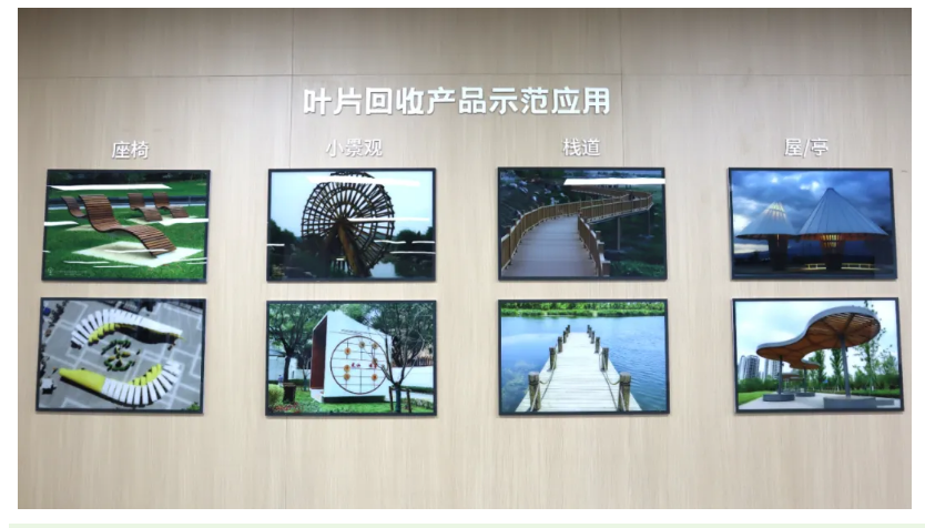 叶片回收利用示范项目.png